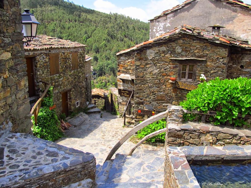Villa Vivenda Pirilampo Vila Nova de Poiares Exterior foto